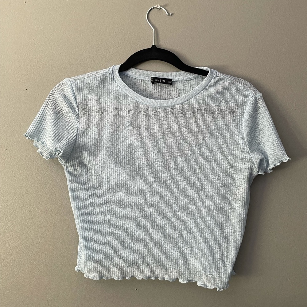 Sheer blue cropped t shirt